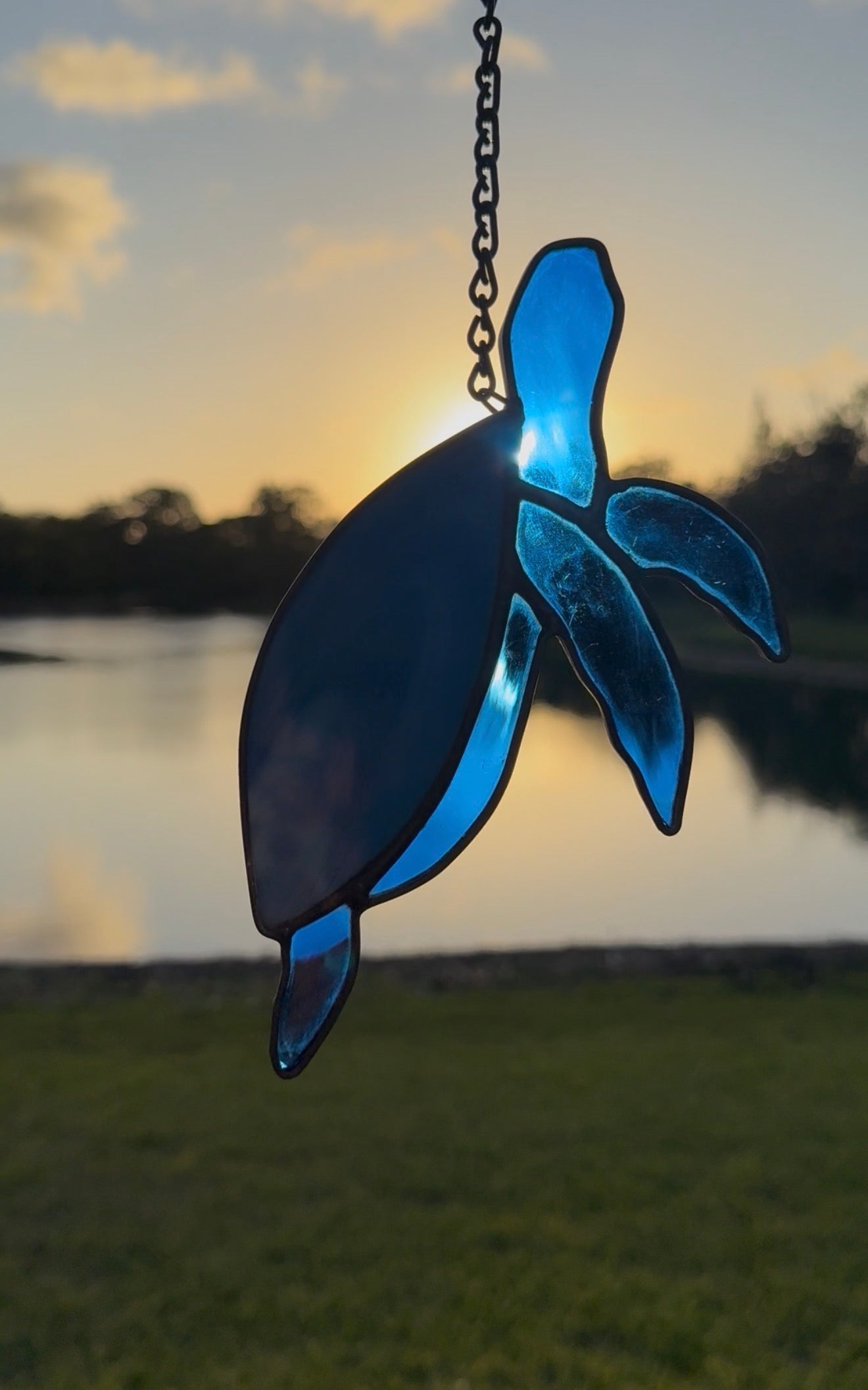 Stained Glass Turtle