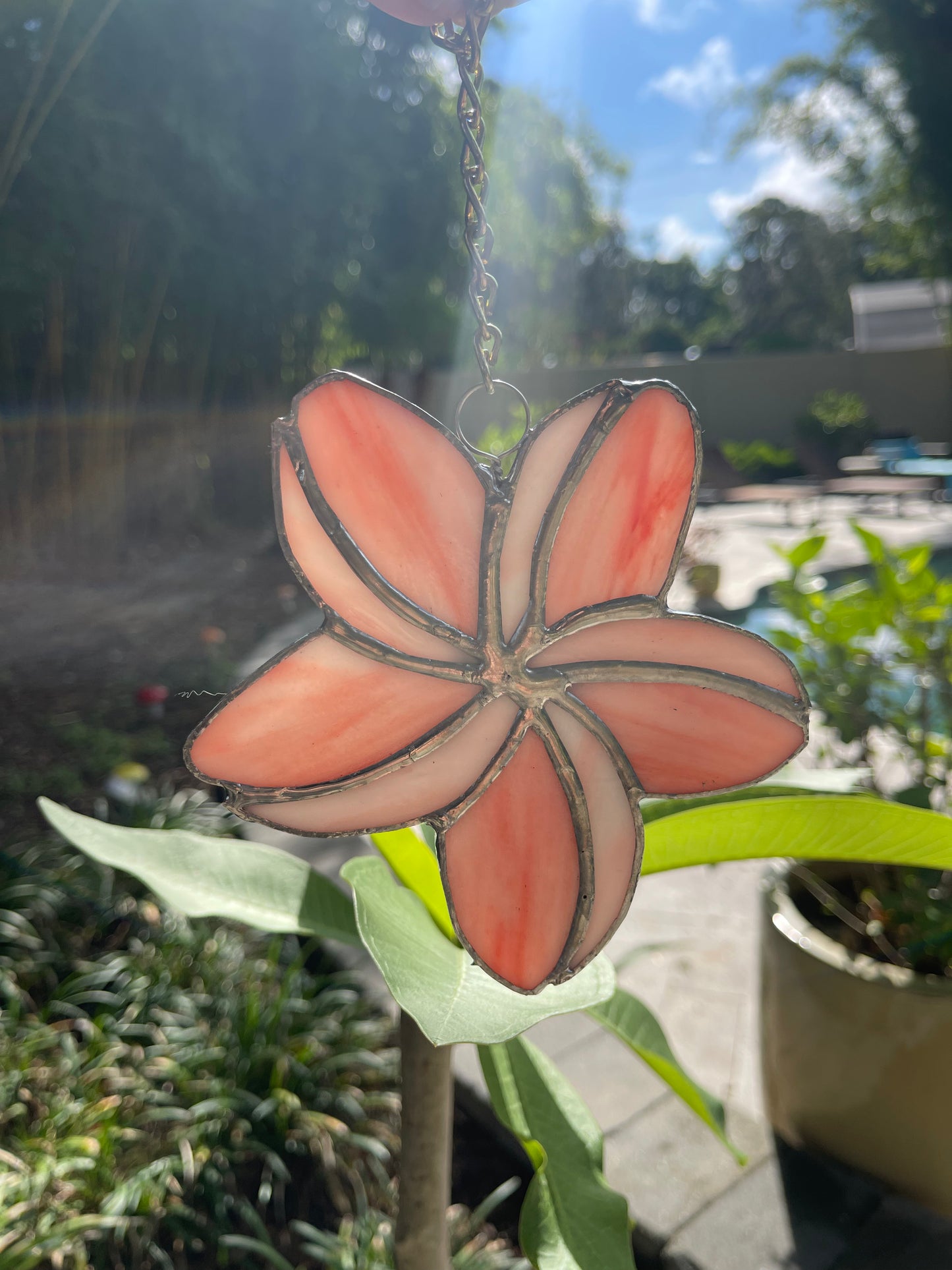 Pink & White Plumeria Flower Stained Glass