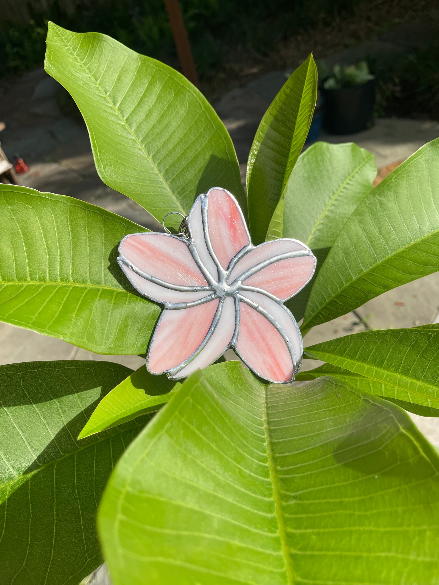Pink & White Plumeria Flower Stained Glass