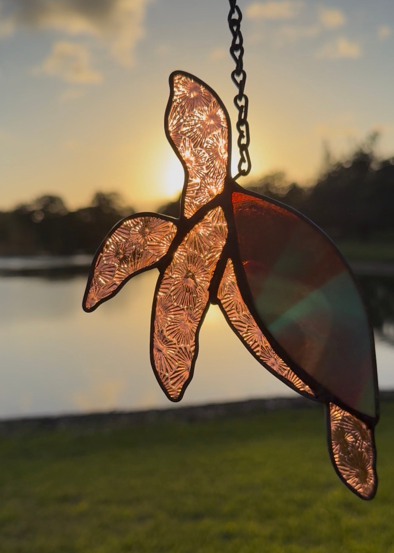 Stained Glass Turtle