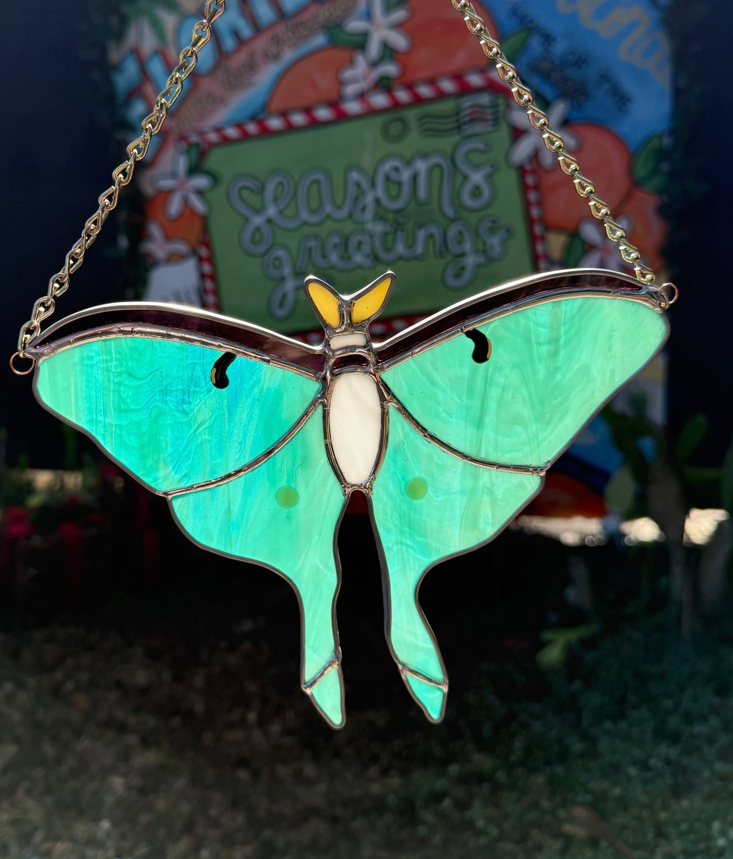 Luna Moth