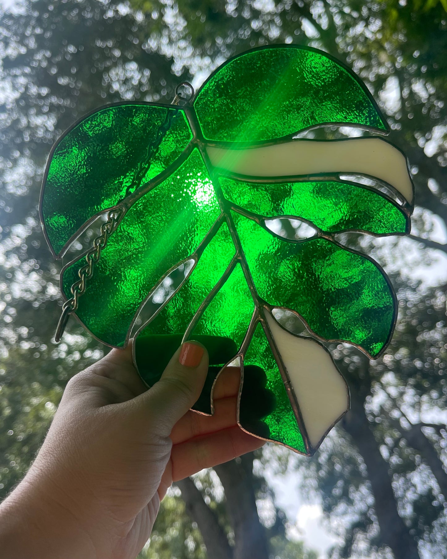 Green & White Variegated Monstera Stained Glass