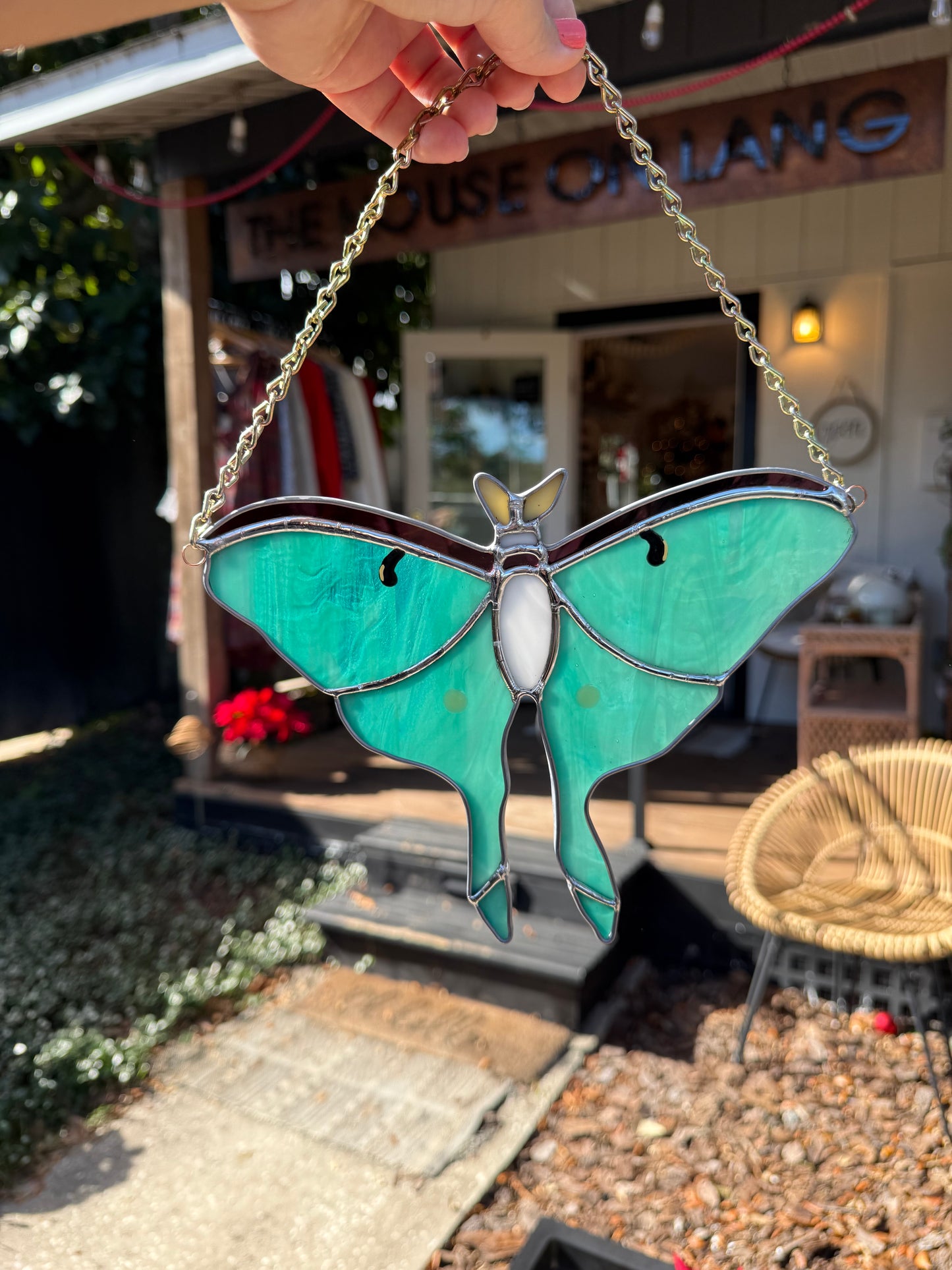 Luna Moth