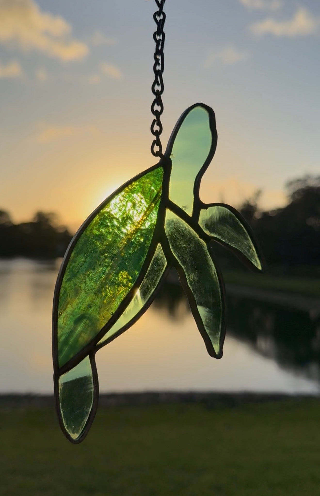Stained Glass Turtle