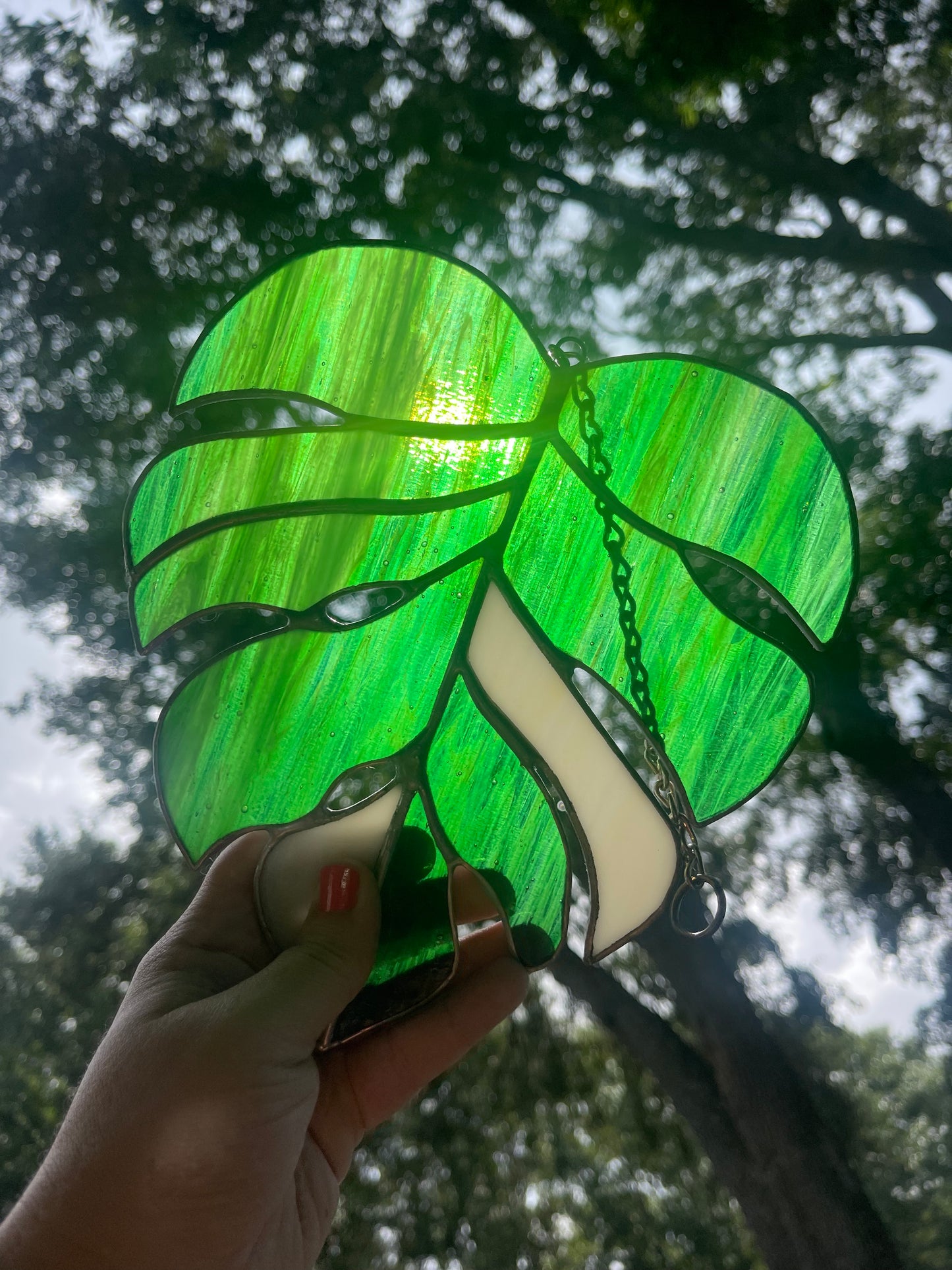 Green & White Variegated Monstera Stained Glass