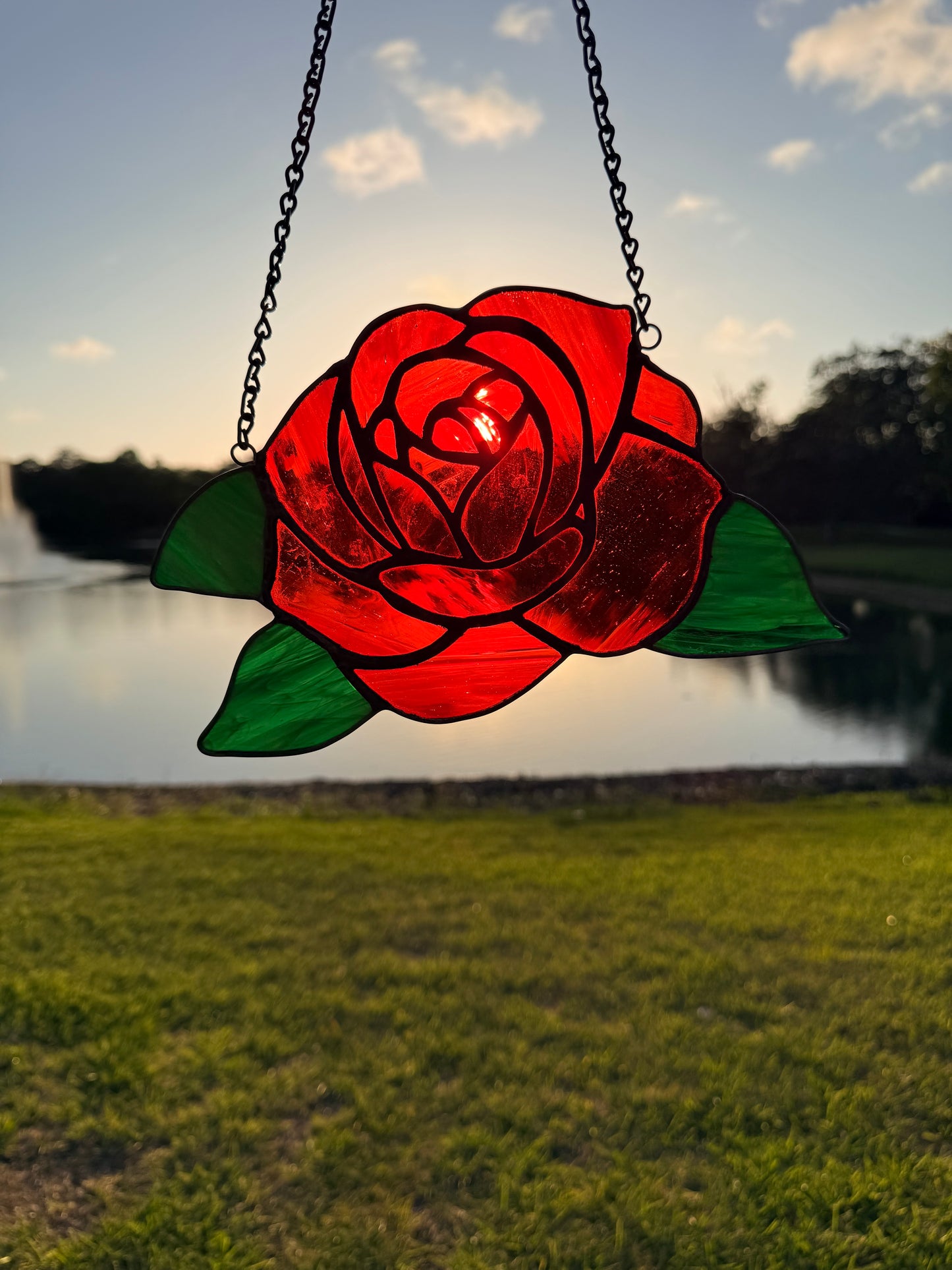 Bright Red Rose